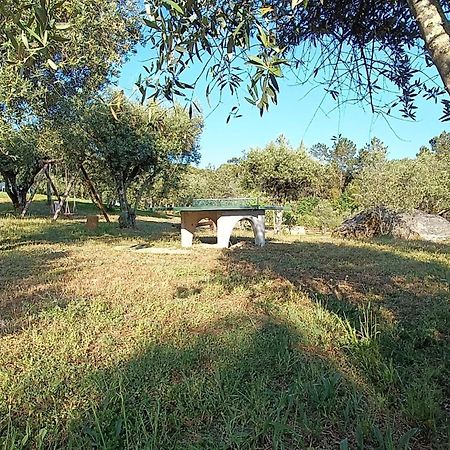 Santar Quinta Da Pedra Mija 게스트하우스 외부 사진