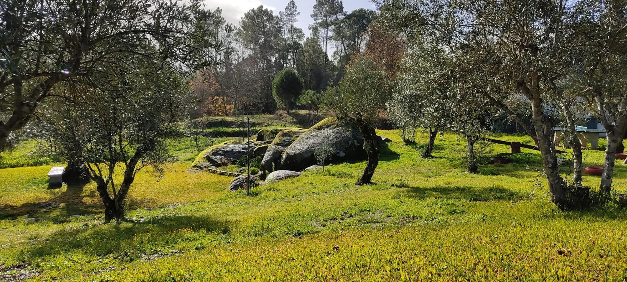 Santar Quinta Da Pedra Mija 게스트하우스 외부 사진