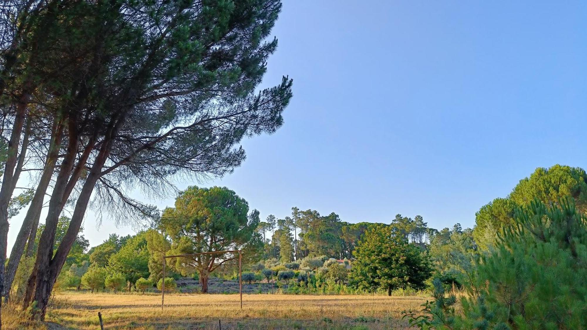 Santar Quinta Da Pedra Mija 게스트하우스 외부 사진