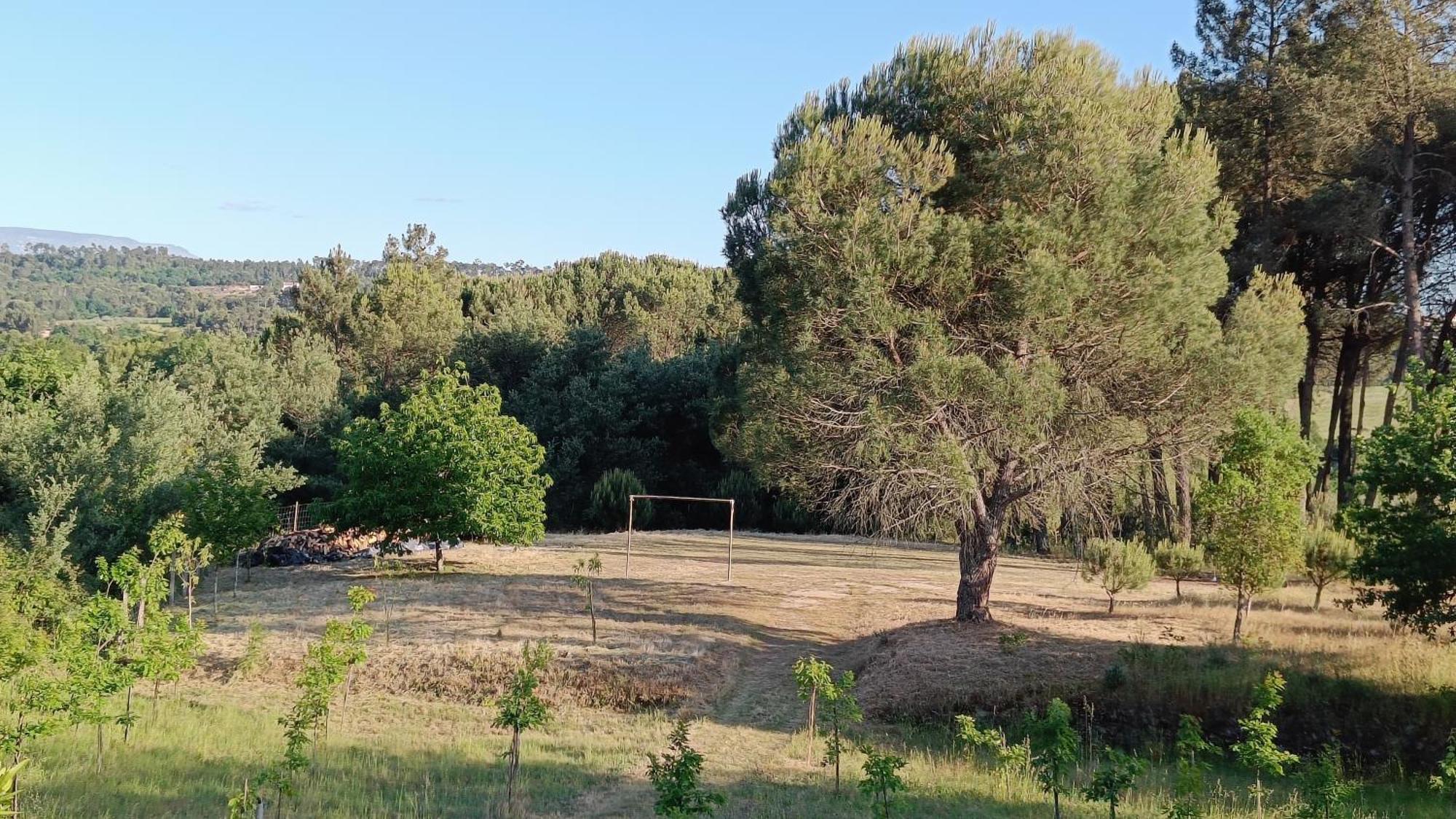 Santar Quinta Da Pedra Mija 게스트하우스 외부 사진