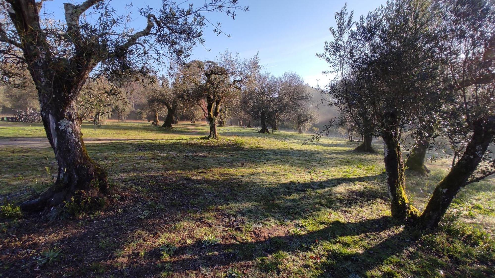 Santar Quinta Da Pedra Mija 게스트하우스 외부 사진