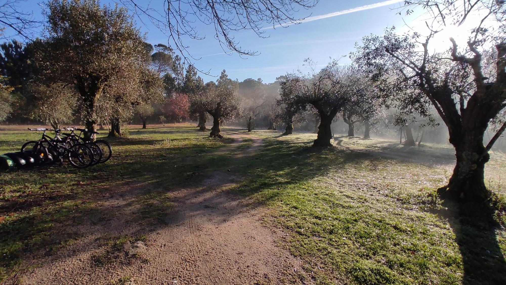 Santar Quinta Da Pedra Mija 게스트하우스 외부 사진