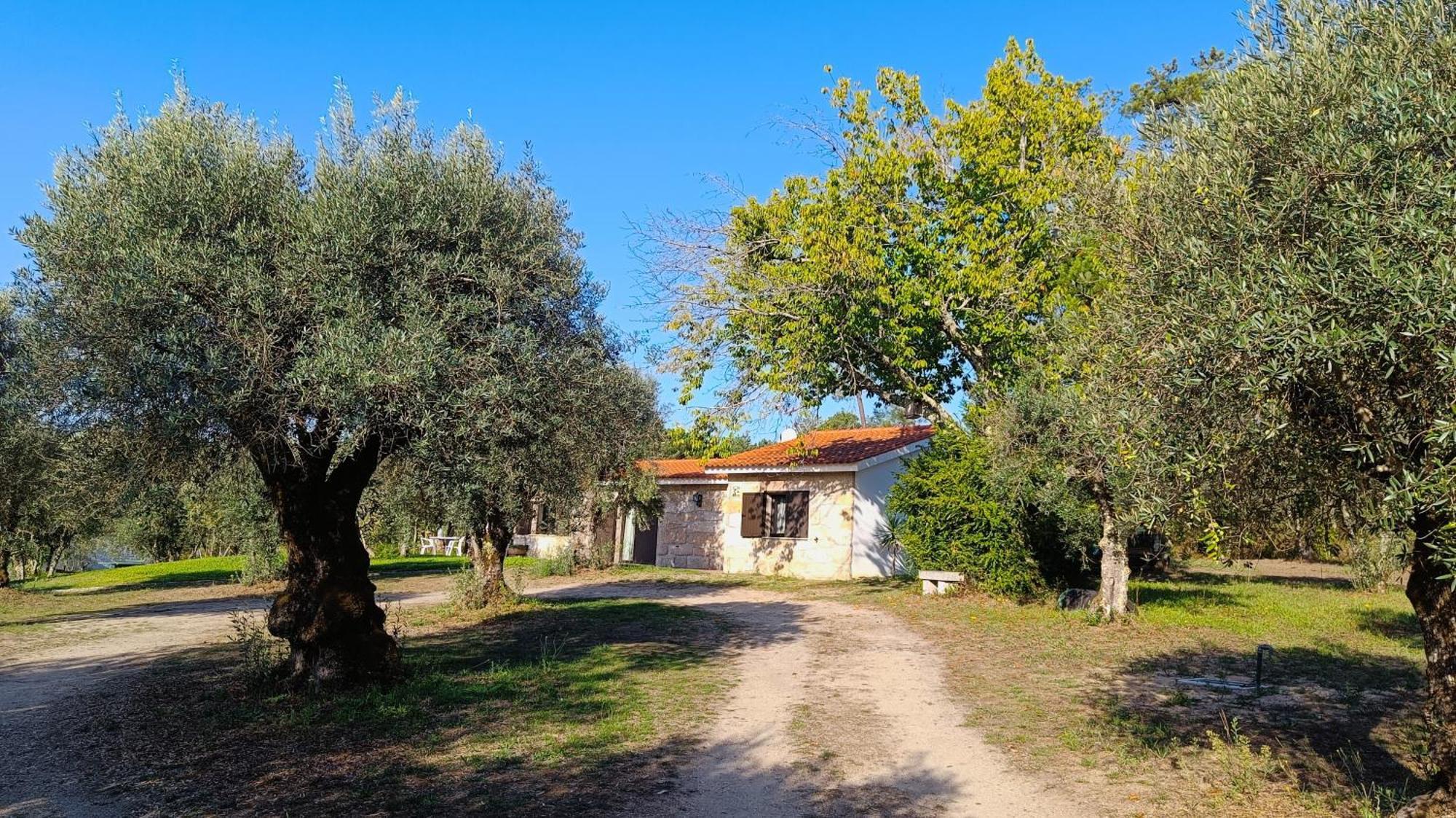 Santar Quinta Da Pedra Mija 게스트하우스 외부 사진