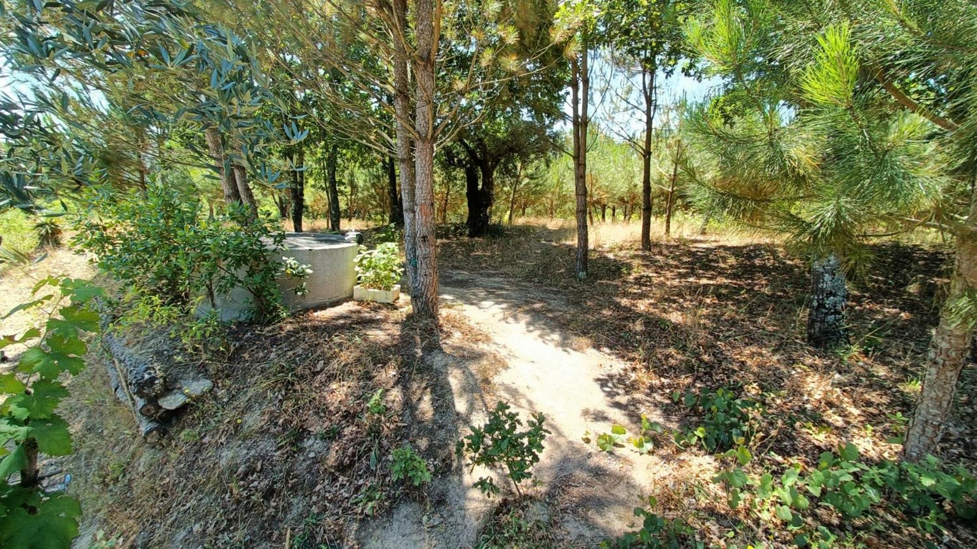 Santar Quinta Da Pedra Mija 게스트하우스 외부 사진