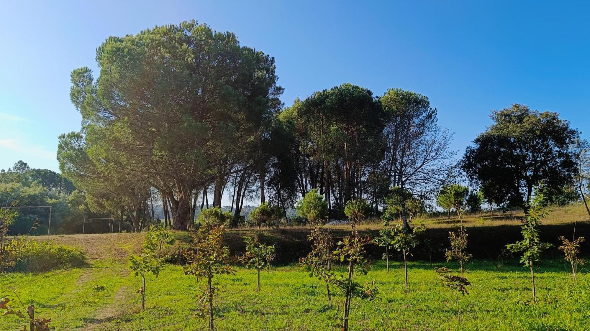 Santar Quinta Da Pedra Mija 게스트하우스 외부 사진