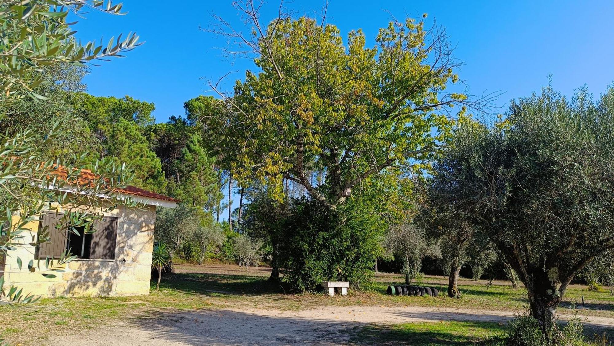 Santar Quinta Da Pedra Mija 게스트하우스 외부 사진
