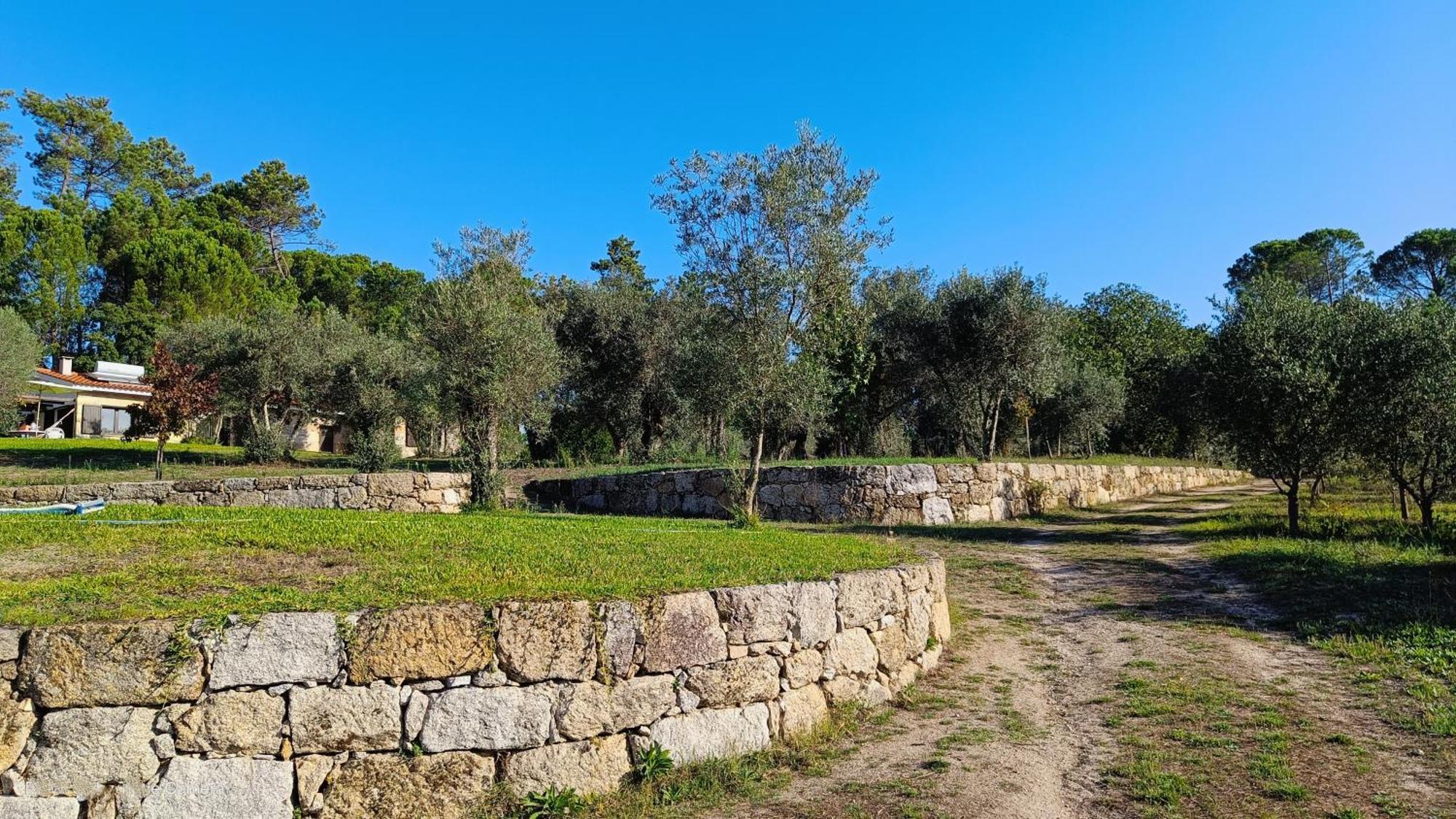 Santar Quinta Da Pedra Mija 게스트하우스 외부 사진