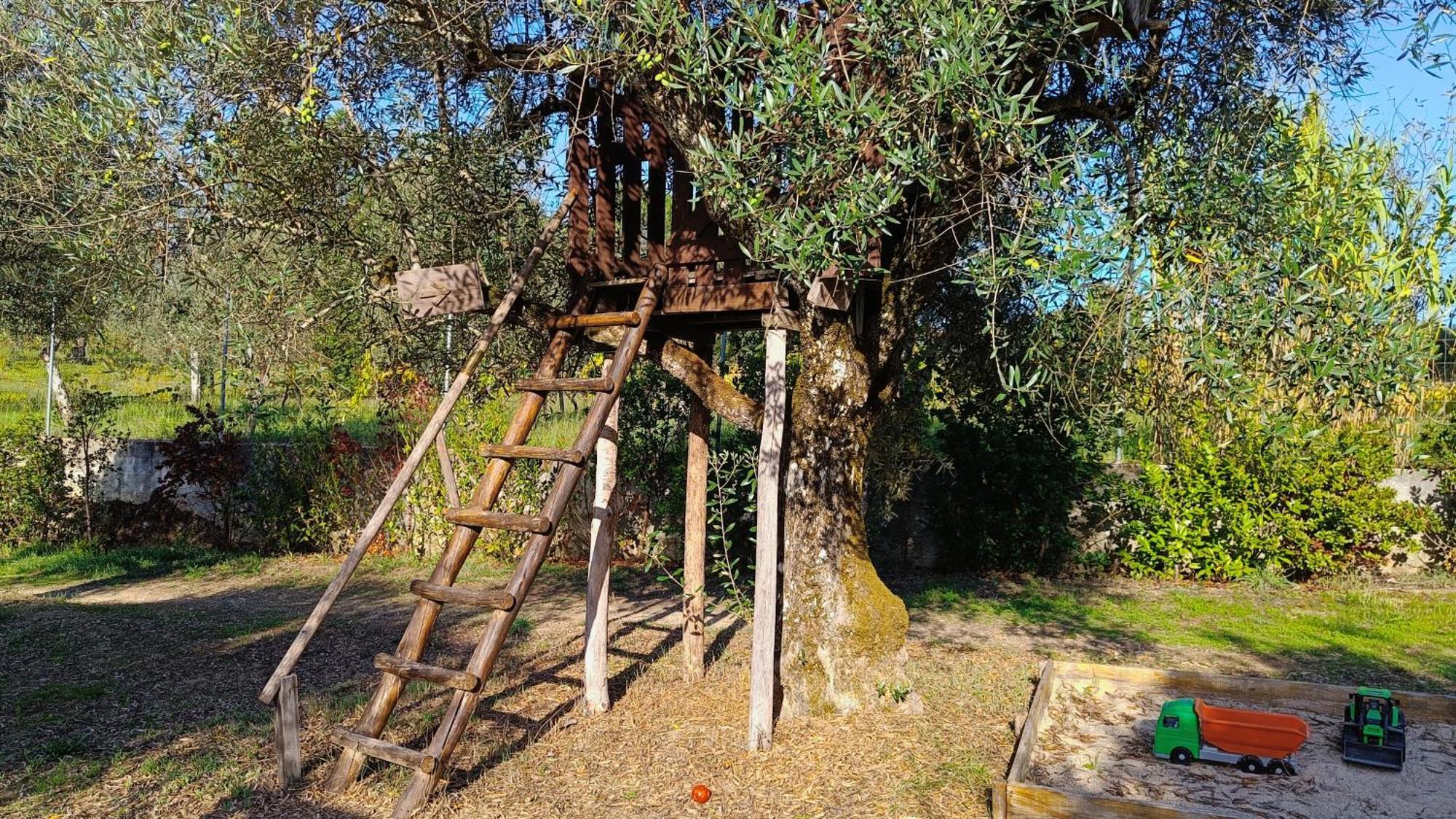 Santar Quinta Da Pedra Mija 게스트하우스 외부 사진