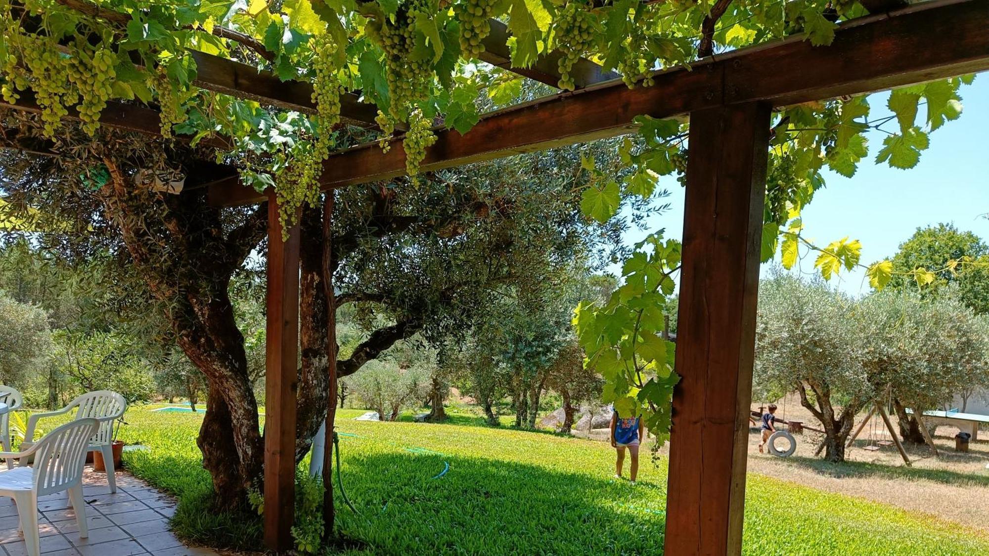 Santar Quinta Da Pedra Mija 게스트하우스 외부 사진