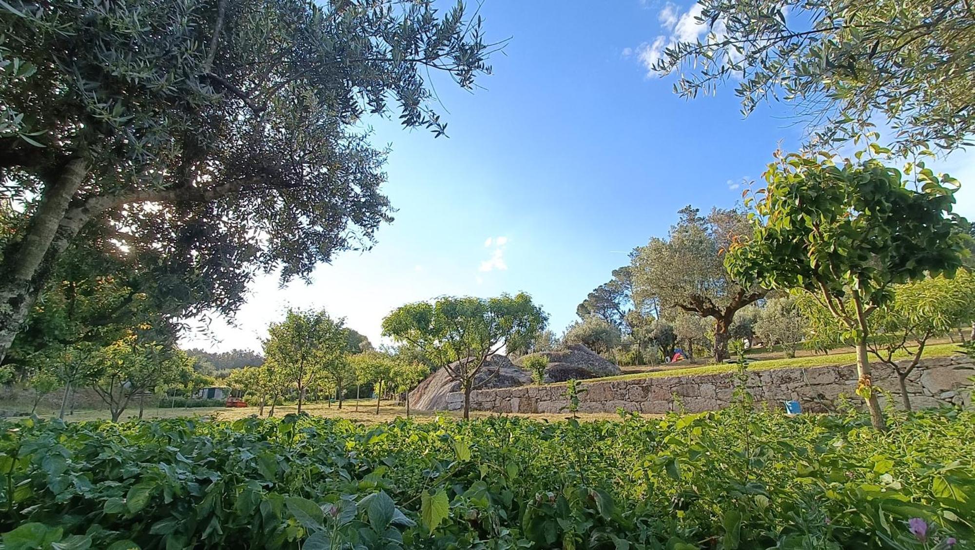 Santar Quinta Da Pedra Mija 게스트하우스 외부 사진